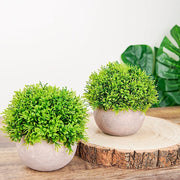 2 pcs 5" tall Mini Potted Boxwood Topiary Artificial Plants - Green and Gray ARTI_GRN_PT002_01
