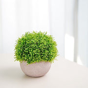 2 pcs 5" tall Mini Potted Boxwood Topiary Artificial Plants - Green and Gray ARTI_GRN_PT002_01