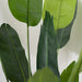 2 pcs 6 ft Artificial Bird of Paradise Plastic Planter Pot - Green ARTI_POT_TROP001_L_GRN