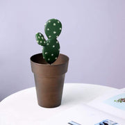 2 pcs 6" tall Metallic Round Plastic Flower Plant Pots