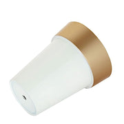 2 pcs 6" tall Metallic Round Plastic Flower Plant Pots