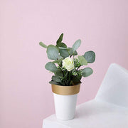 2 pcs 6" tall Metallic Round Plastic Flower Plant Pots