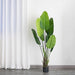 2 pcs Bird of Paradise Potted Artificial Plants - Green