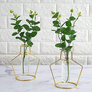 2 pcs Geometric Flower Vase Holders with Clear Glass Tubes - Gold IRON_VASE_004_7_GD