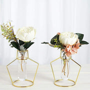 2 pcs Geometric Flower Vase Holders with Clear Glass Tubes - Gold IRON_VASE_004_7_GD