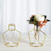 2 pcs Geometric Flower Vase Holders with Clear Glass Tubes - Gold IRON_VASE_004_7_GD