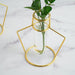 2 pcs Geometric Flower Vase Holders with Clear Glass Tubes - Gold IRON_VASE_004_7_GD