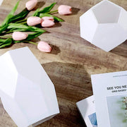 2 pcs Glass Geometric Flower Vases Candle Holders Set - Matte White VASE_A54_SET_WHT