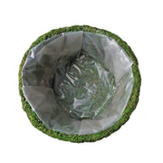 2 pcs Natural Moss Teacups Planter Boxes with Ribbons - Green MOSS_PLNT_019_GRN