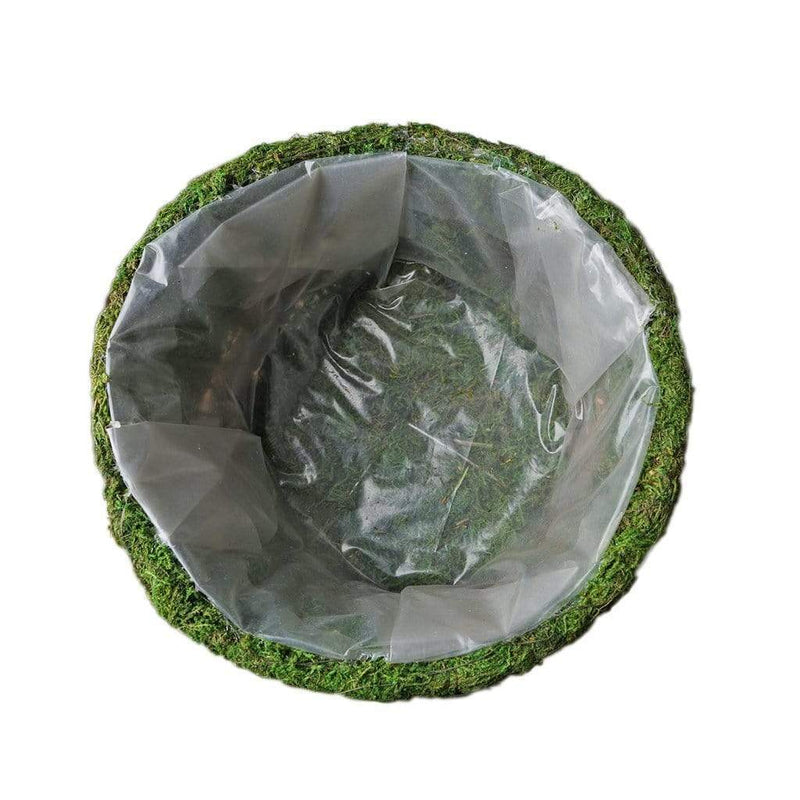 2 pcs Natural Moss Teacups Planter Boxes with Ribbons - Green MOSS_PLNT_019_GRN