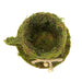 2 pcs Natural Moss Teacups Planter Boxes with Ribbons - Green MOSS_PLNT_019_GRN