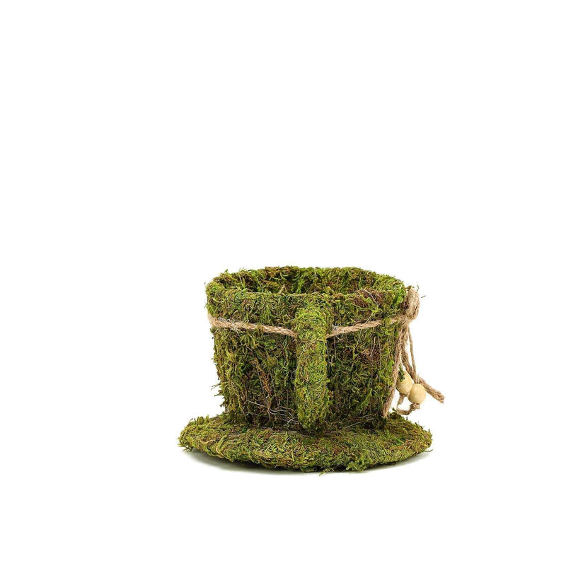 2 pcs Natural Moss Teacups Planter Boxes with Ribbons - Green MOSS_PLNT_019_GRN