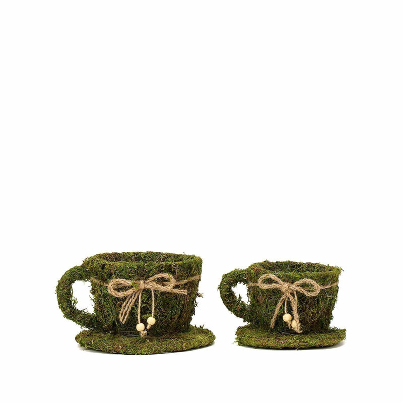 2 pcs Natural Moss Teacups Planter Boxes with Ribbons - Green MOSS_PLNT_019_GRN