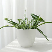 2 Round 5.5" Plastic Indoor Plant Flower Pots Succulent Planters - White PLNT_PLST_006_M_WHT