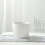 2 Round 5.5" Plastic Indoor Plant Flower Pots Succulent Planters - White PLNT_PLST_006_M_WHT