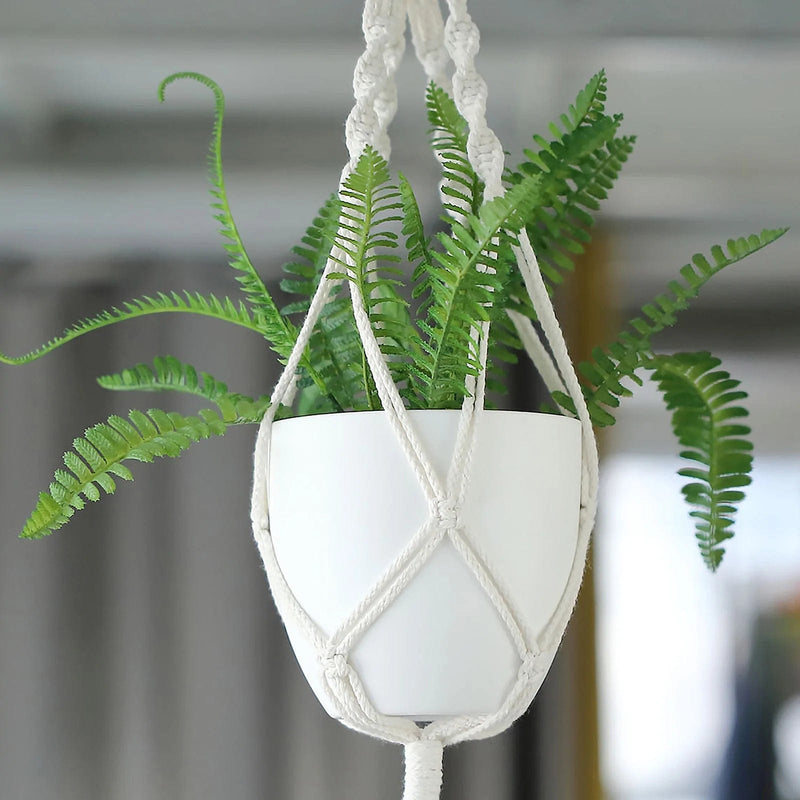 2.5 succulent pots Balsa Circle 2 White 5.5" Plastic Succulent Planters Indoor Flower Plant Pots Party Events Decorations Supplies