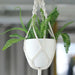 2 Round 5.5" Plastic Indoor Plant Flower Pots Succulent Planters - White PLNT_PLST_006_M_WHT