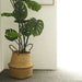 2 Seagrass Plant Baskets Woven Planter Flower Pot Holders - Natural BSKT_JUTE_001_SET_NAT