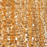 20 ft x 10 ft Big Payette Sequined Backdrop