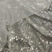 20 ft x 10 ft Sequined Backdrop