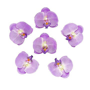 20 pcs 4" Faux Silk Orchid Flower Heads