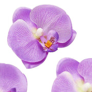 20 pcs 4" Faux Silk Orchid Flower Heads