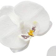 20 pcs 4" Faux Silk Orchid Flower Heads