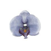 20 pcs 4" Faux Silk Orchid Flower Heads ARTI_ORCH001H_044