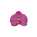 20 pcs 4" Faux Silk Orchid Flower Heads ARTI_ORCH001H_FUSH