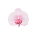 20 pcs 4" Faux Silk Orchid Flower Heads ARTI_ORCH001H_PINK