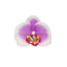 20 pcs 4" Faux Silk Orchid Flower Heads ARTI_ORCH001H_WHTPR