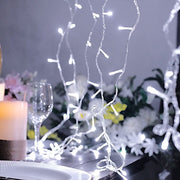 22 ft 100 LED Lights Backdrop