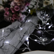 22 ft 100 LED Lights Backdrop