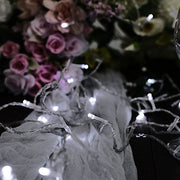 22 ft 100 LED Lights Backdrop