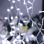 22 ft 100 LED Lights Backdrop