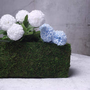 23.5" long Natural Moss Rectangular Planter Box - Green MOSS_PLNT_021_GRN