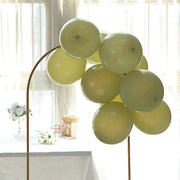 25 Matte 12" Round Latex Party Balloons