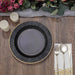 25 Metallic Round Paper Salad Dinner Plates with Textured Rim - Disposable Tableware
