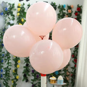 25 pcs 12" Round Latex Balloons