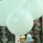 25 pcs 12" Round Latex Balloons