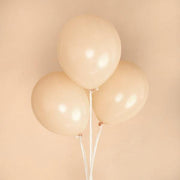 25 pcs 12" Round Latex Balloons