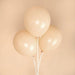 25 pcs 12" Round Latex Balloons