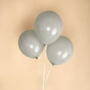 25 pcs 12" Round Latex Balloons