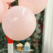 25 pcs 12" Round Latex Balloons