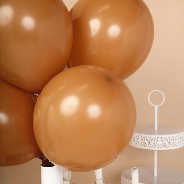 25 pcs 12" Round Latex Balloons