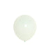 25 pcs 12" Round Latex Balloons BLOON_RND01_12_MINT