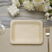 25 pcs 8" x 5" Natural Sustainable Birch Wooden Rectangle Plates - Disposable Tableware BIRC_P012