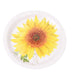 25 White Round Paper Plates with Sunflower Design - Disposable Tableware DSP_PPR0006_9_SUN