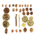 26 pcs Assorted Potpourri Ornaments Vase Fillers - Natural and Gold MOSS_FILL_005_GOLD