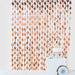 3 ft x 6.5 ft Metallic Round Foil Tassels Fringe Backdrop Curtains